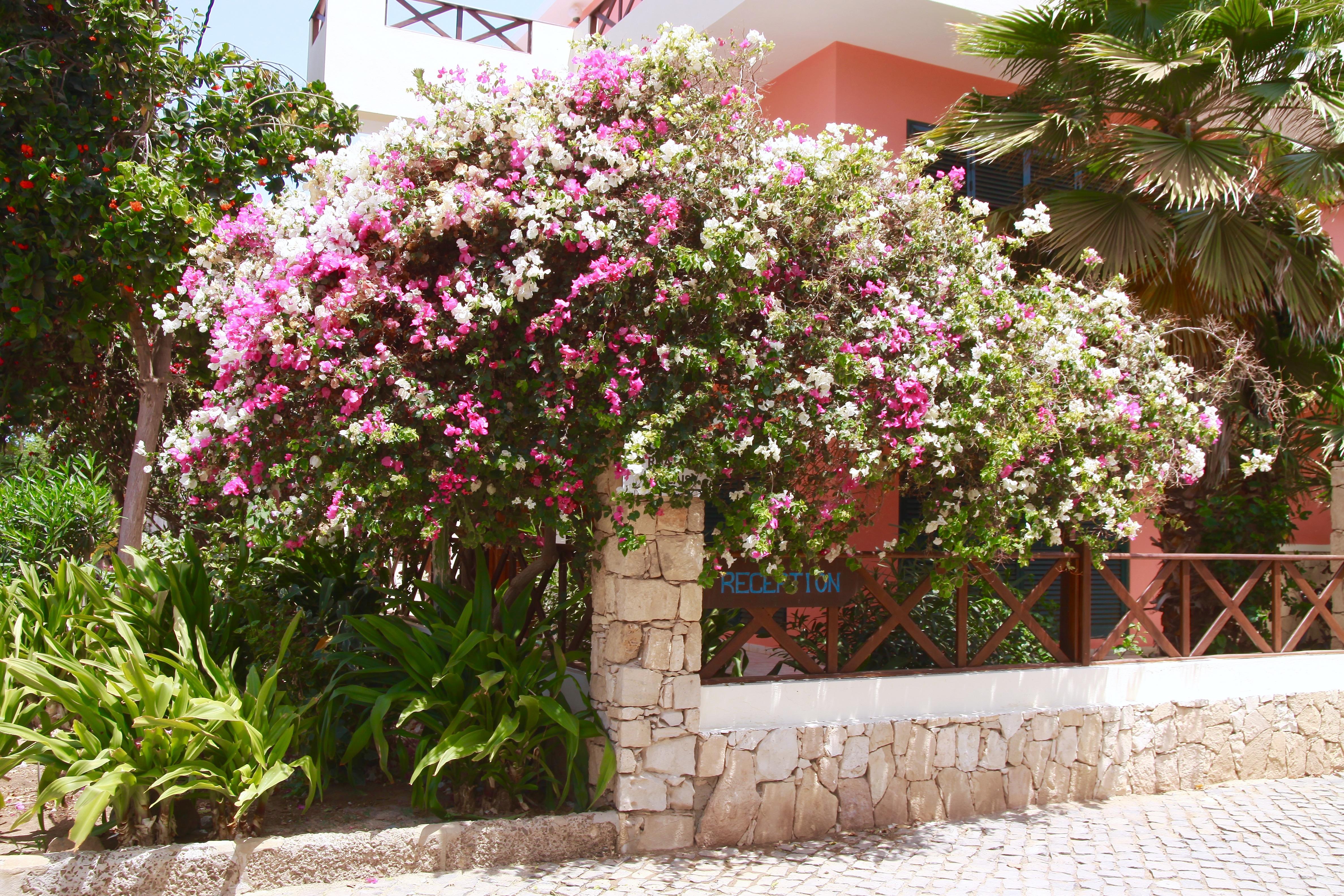 Aparthotel Ponta Preta Santa Maria Dış mekan fotoğraf